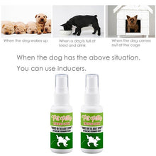 Load image into Gallery viewer, Pet Potty Training Spray
