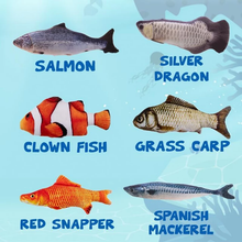 Load image into Gallery viewer, FALSE