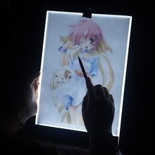 Load image into Gallery viewer, FALSE