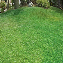 Load image into Gallery viewer, Green Grass Lawn Spray