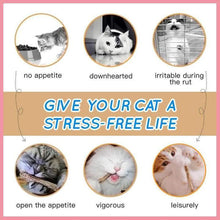 Load image into Gallery viewer, Catnip Wall Balls
